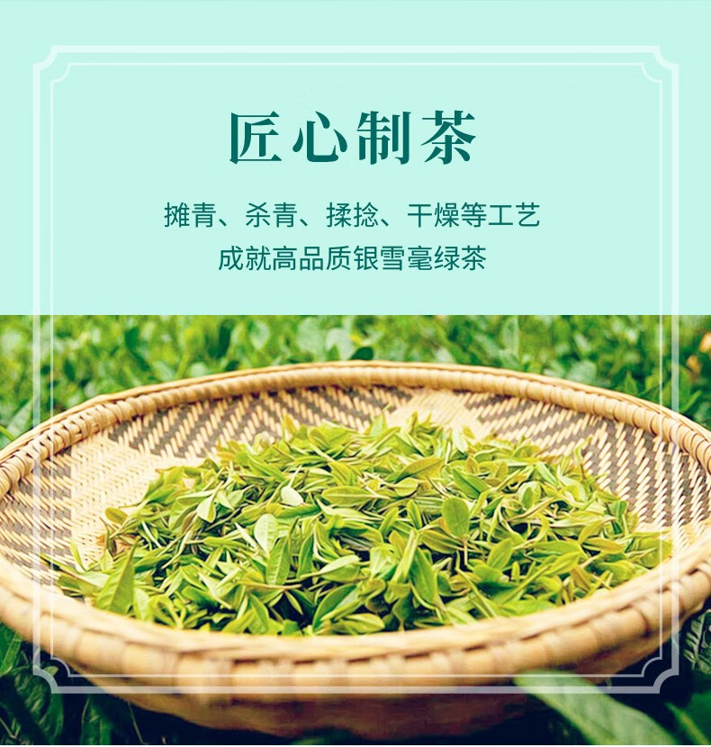 预售15天发中茶明前绿茶银雪毫高山大叶种早春头采一芽一叶绿茶150g