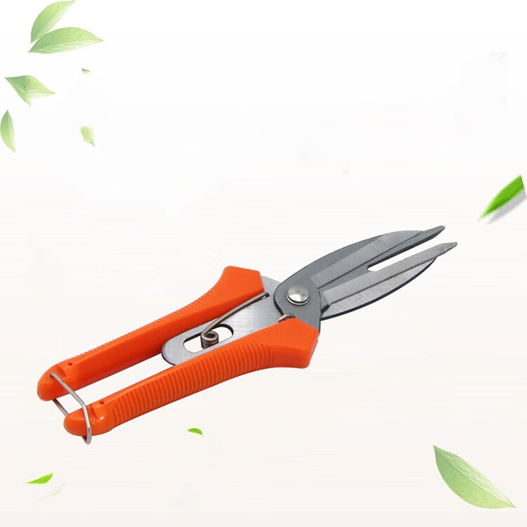 葡萄剪刀疏花疏果摘果剪稀果剪盆景修枝园艺园林剪花艺修红色