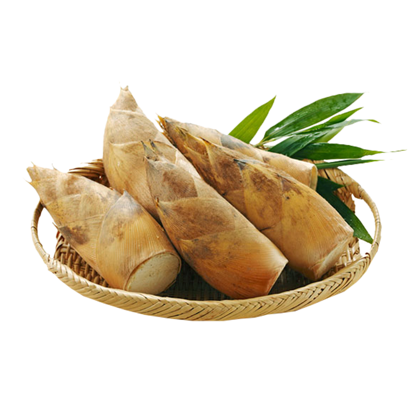 新鲜冬笋现挖浙江临安天目山野生毛竹笋春笋正宗鲜笋黄泥笋5斤精选装