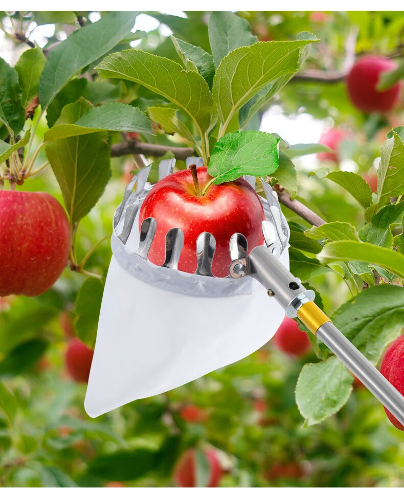 高空摘水果果子苹果桃子李子枣柿子摘果器多功能伸缩杆家用采摘工具 4