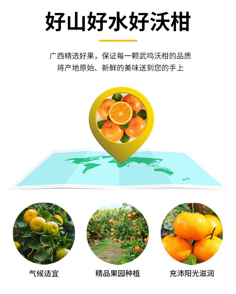 广西武鸣沃柑水嫩多汁柑橘桔子新鲜水果5斤精选中大果