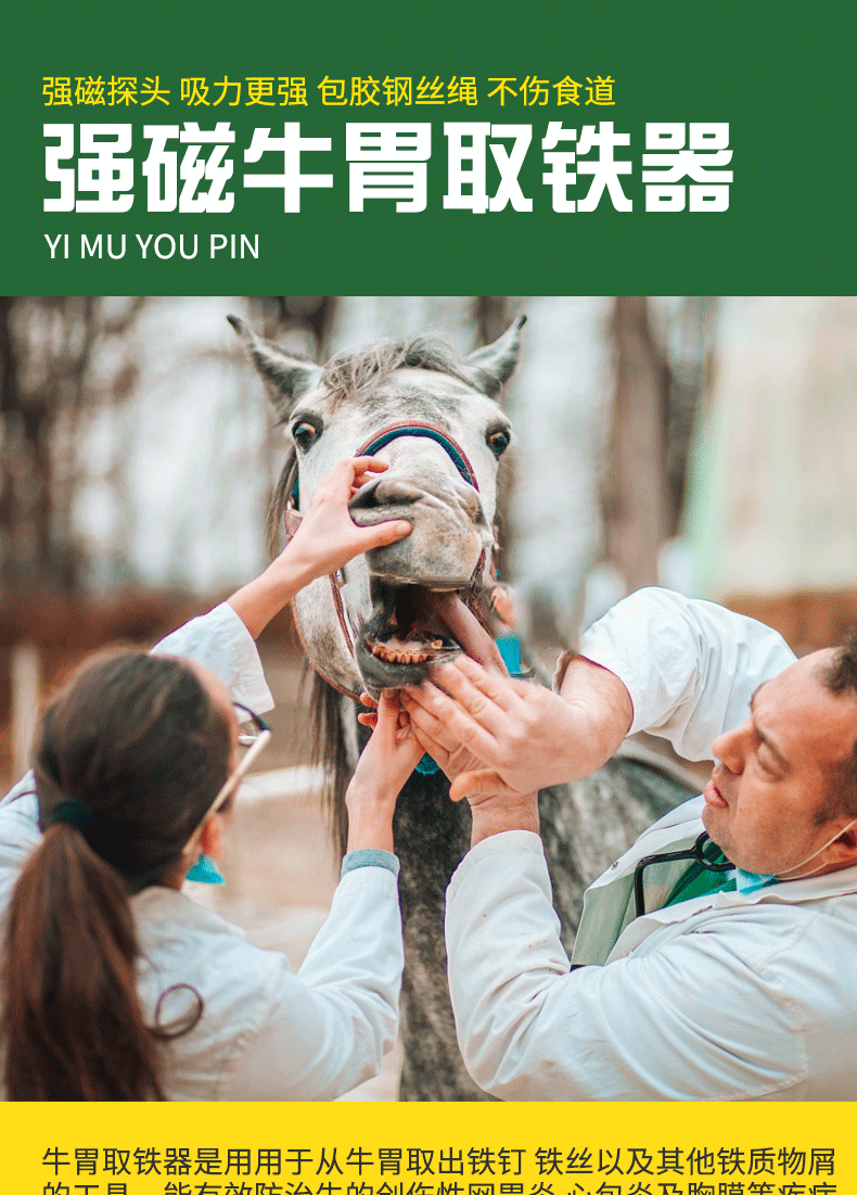 牧多多牛胃取铁器强磁不锈钢牛瘤胃吸铁器畜牧设备牛胃取铁器不锈钢头