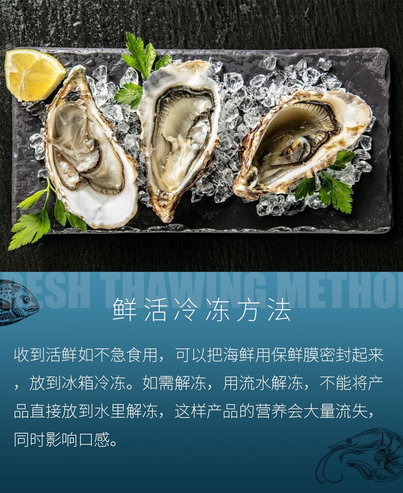 【活鲜】鲟食 法国生蚝红钻绿翡翠生蚝 鲜活进口刺身牡蛎吉拉多 红钻