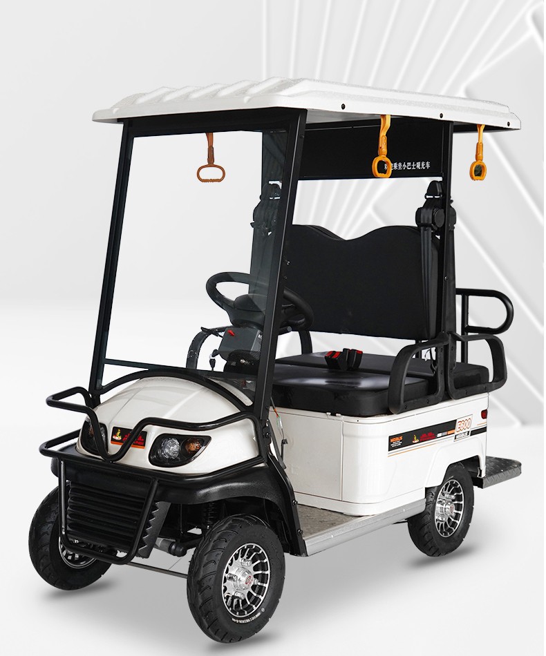 凤凰phoenix小巴士电动车四轮车老人老年观光车代步车双人多人带棚