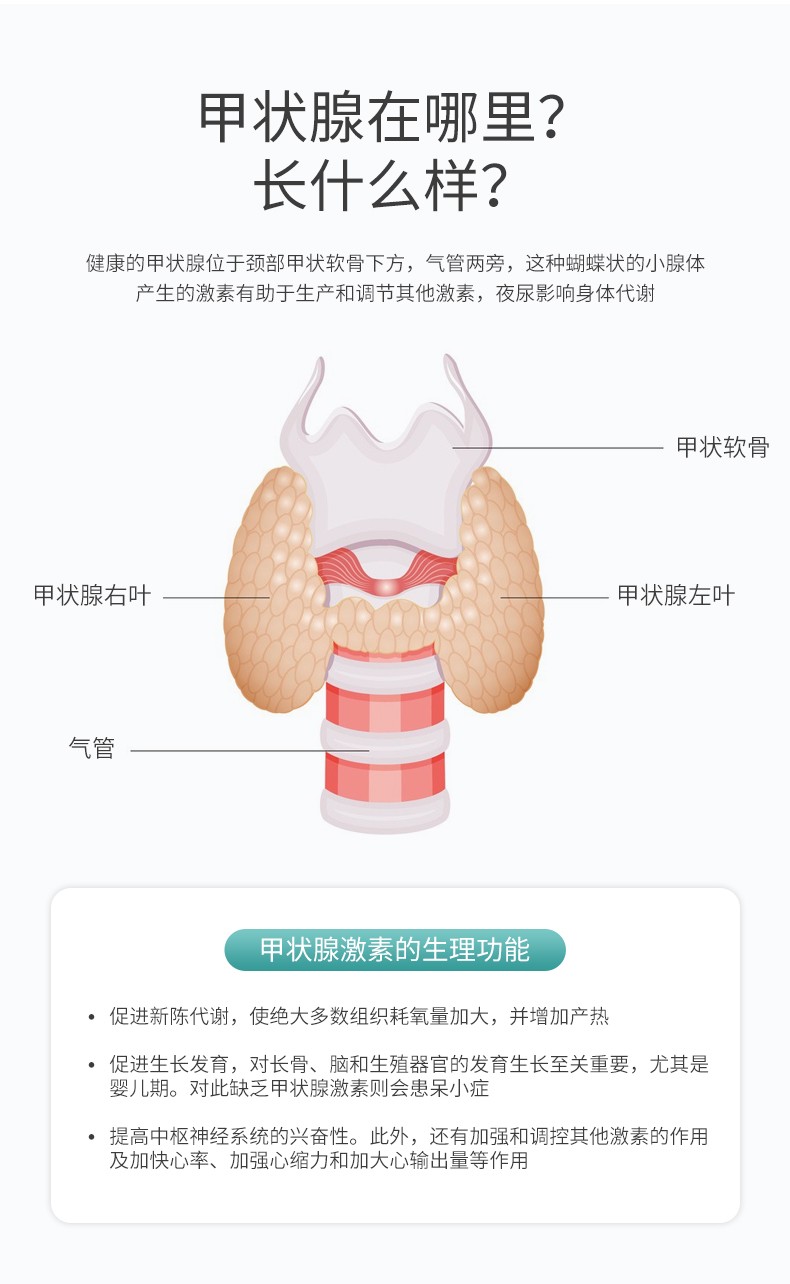 普兰多甲状腺激素平衡甲减桥本氏甲状腺结节甲状腺炎酪氨酸胶囊60粒