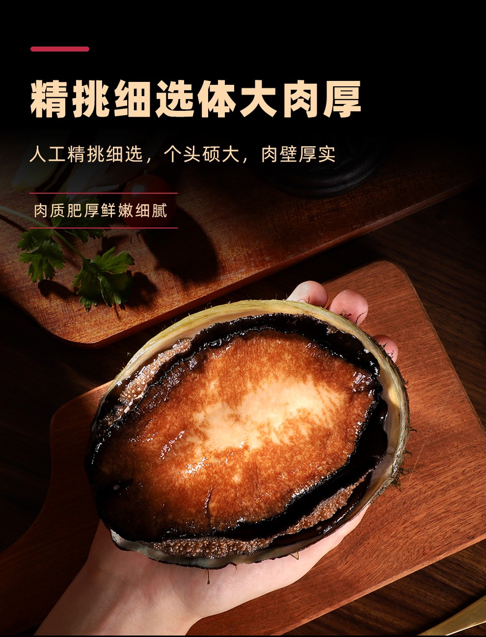 嘉麟楽 冷冻活冻澳洲鲍鱼鲜活澳鲍澳大利亚特大黑边鲍鱼新西兰黑金