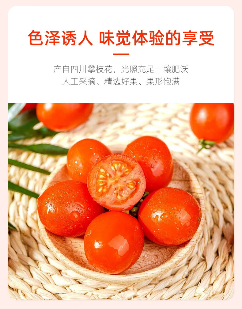 四川粉贝贝圣女果新鲜小番茄攀枝花米易小西红柿孕妇生吃千禧果整箱