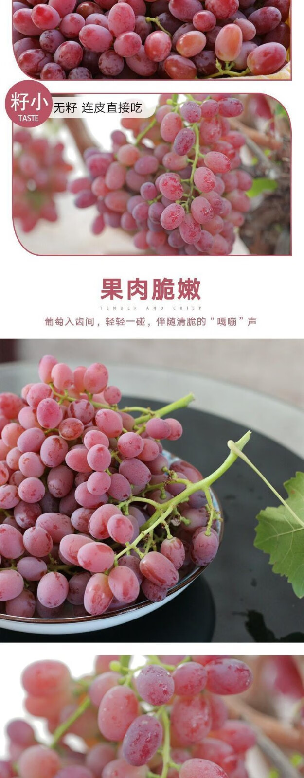 新疆玻璃脆翠葡萄吐鲁番新鲜水果当季整箱无核无籽玫瑰红提子京选6斤