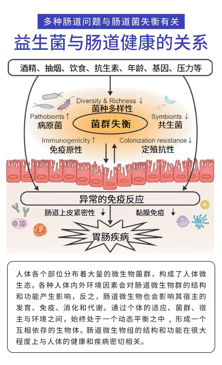 健敏舒v成人儿童通用即食型乳酸菌补充膳食纤维肠道好吸收方便携带20