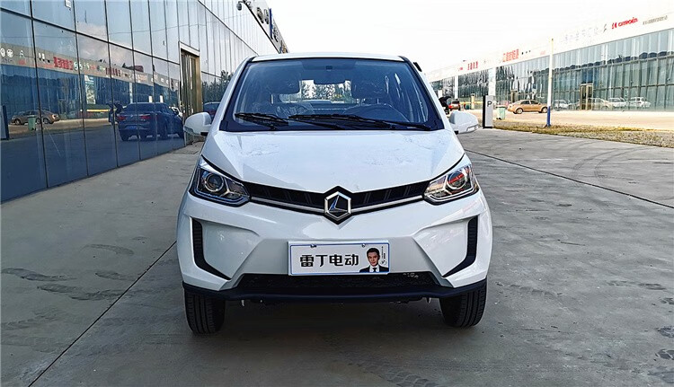 新能源电动四轮汽车成人雷丁d80锂电老人家用女性四轮代步轿车油电