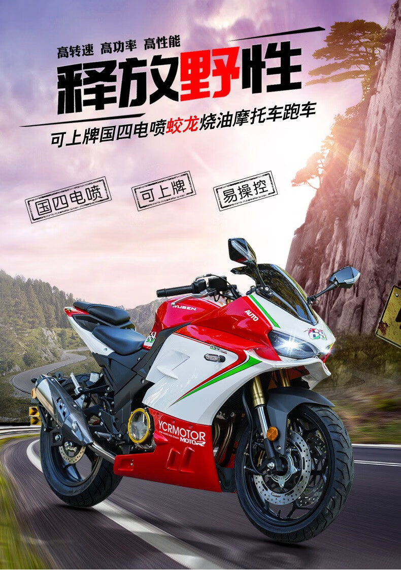 全新蛟龙款摩托车大跑车 国四电喷五本400cc双缸水冷发动机可上牌成人