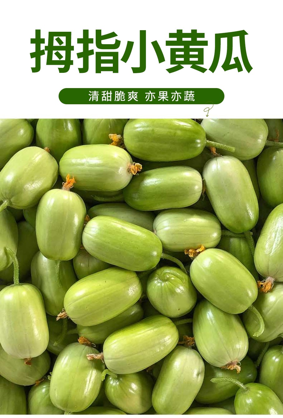 寻味君玉女黄瓜拇指小黄瓜水果新鲜蔬菜4斤装