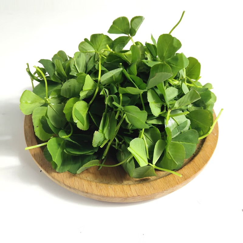 橙伯乐草头菜 新鲜金花菜 三叶菜 1000克【图片 价格 品牌 报价】