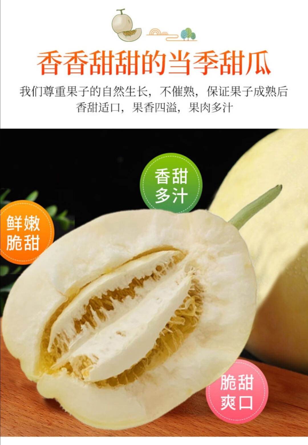 顺丰空运头茬特级果内蒙古巴盟香瓜河套白莲脆应季新鲜现摘水果当季