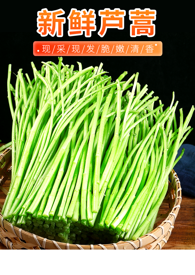 晨臻 新鲜芦蒿 去根去叶篱蒿黎蒿藜蒿嫩泥蒿漓篙离蒿苔蔬菜 1斤【图片