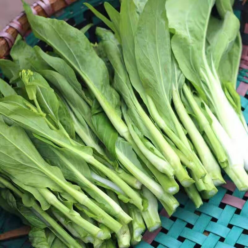 湖北农家新鲜白菜苔打霜青菜薹菜心2500克