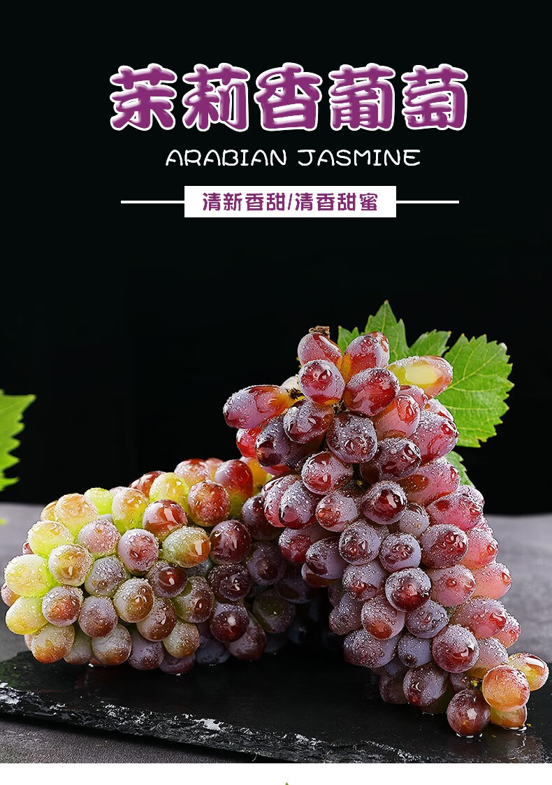茉莉香葡萄新鲜整串小葡萄当季水果红提郁金香四斤装