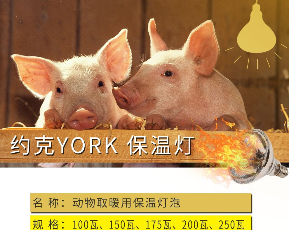约克york养殖用保温灯猪场保温灯泡麻面红外线取暖灯瓦数可选仔猪鸡仔
