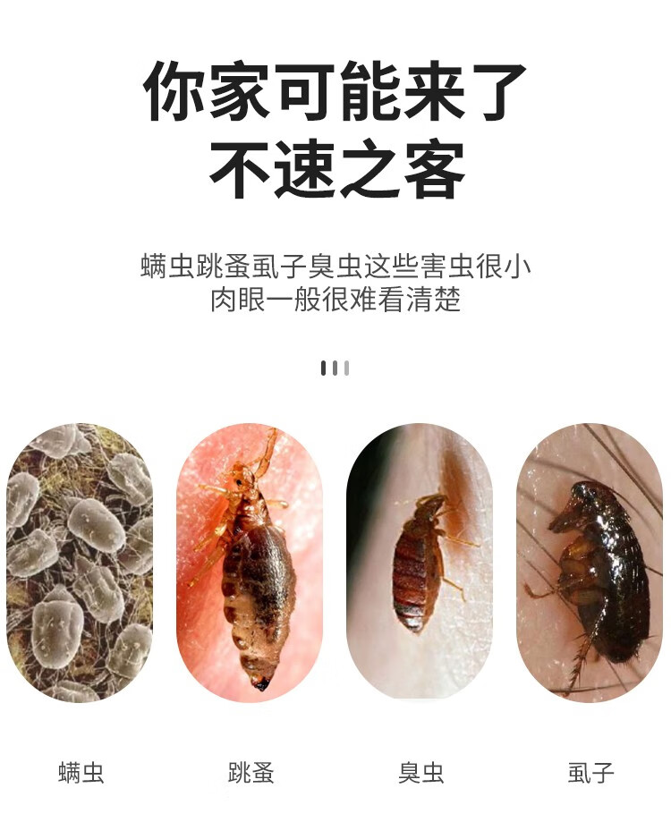 浅米草3号虫螨立净虫宠物去臭虫虱子杀虫犬跳蚤体外驱虫喷雾三1瓶装