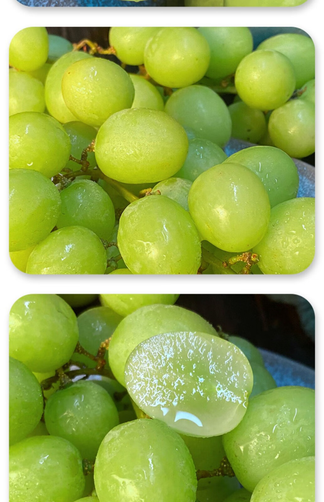 秘鲁青提葡萄清甜脆无籽提子当季新鲜时令孕妇水果2斤