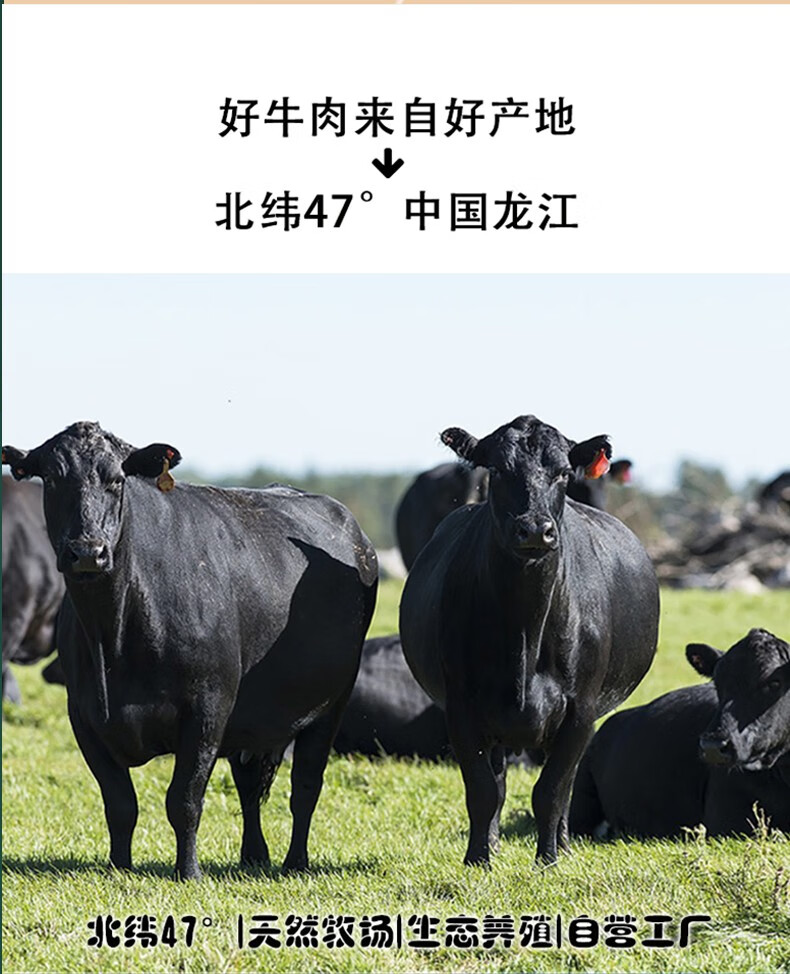 北齐牛牛肉国产牛肉北纬47度龙江安格斯黑牛精品黑牛肉350g