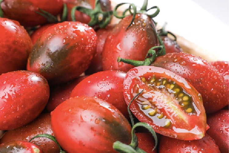 顺丰现发福建珠珠小紫番茄紫弹头迷彩小番茄新鲜圣女果当季水果现摘5