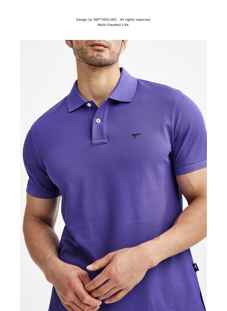 七匹狼短袖t恤男2022夏季新款翻领刺绣小狼标男装商务休闲男士t恤衫