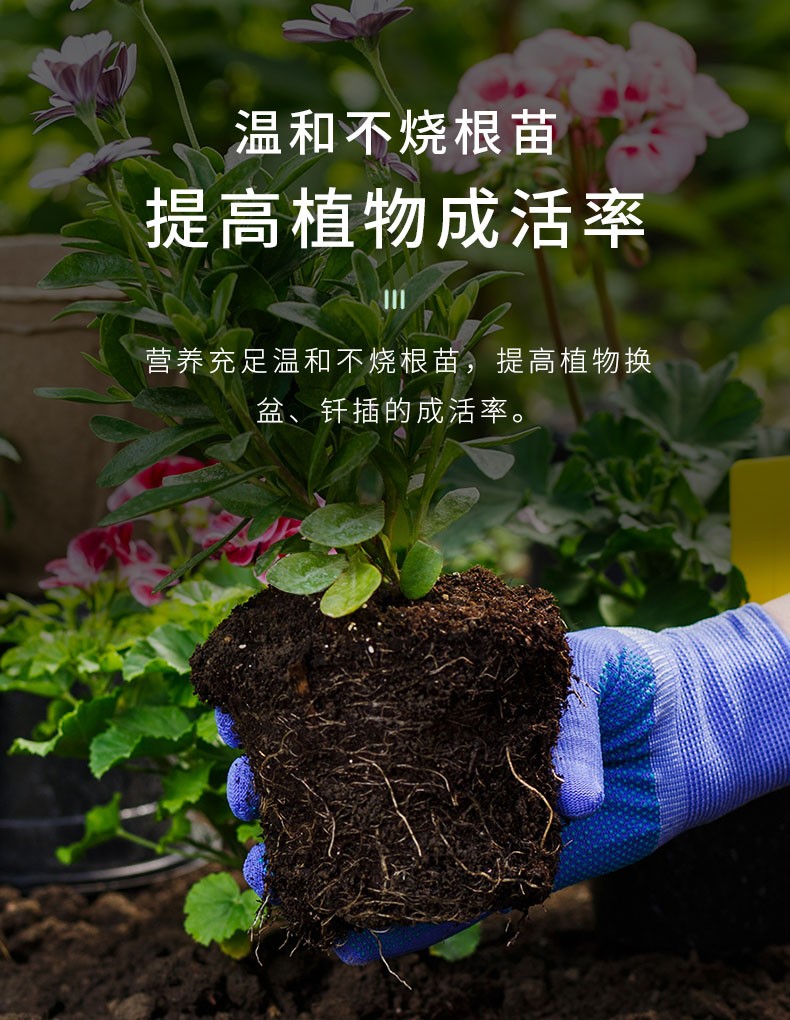 办公室阳台桌面多肉盆栽种植土 2l营养土 花卉营养液400ml【图片 价格