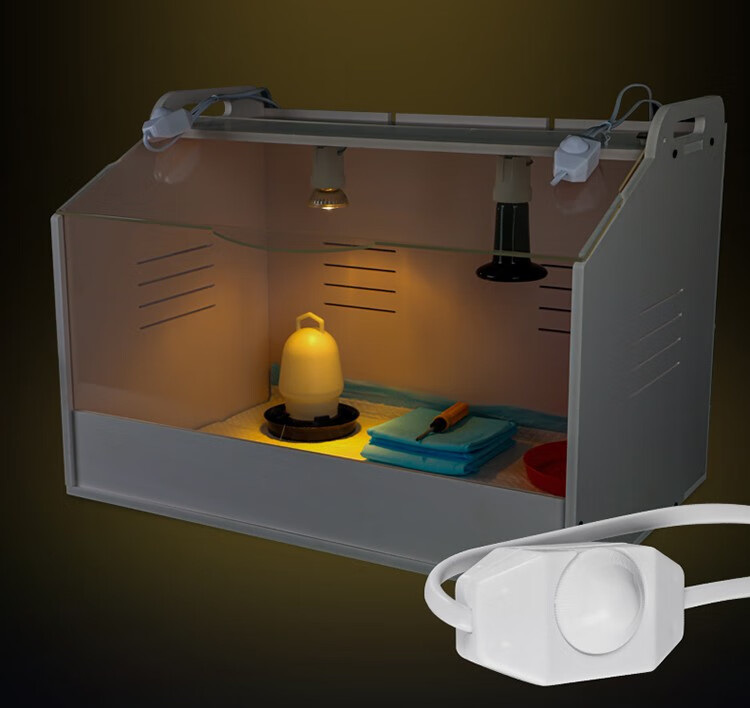 小鸡育雏保温箱柯尔鸭乌龟刺猬爬宠饲养箱蜥蜴守宫爬虫宠物箱恒温