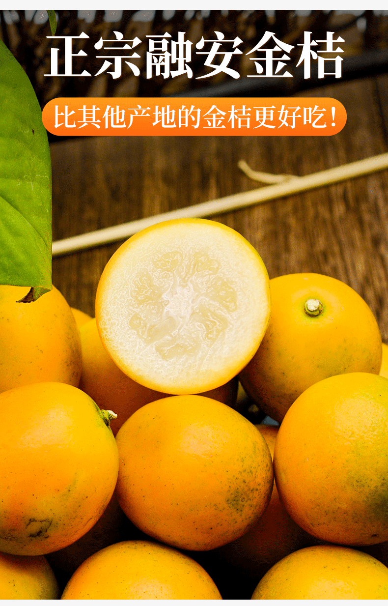 顺丰礼盒装广西融安滑皮金桔4斤装新鲜水果脆蜜金桔水果橘桔子中果4斤