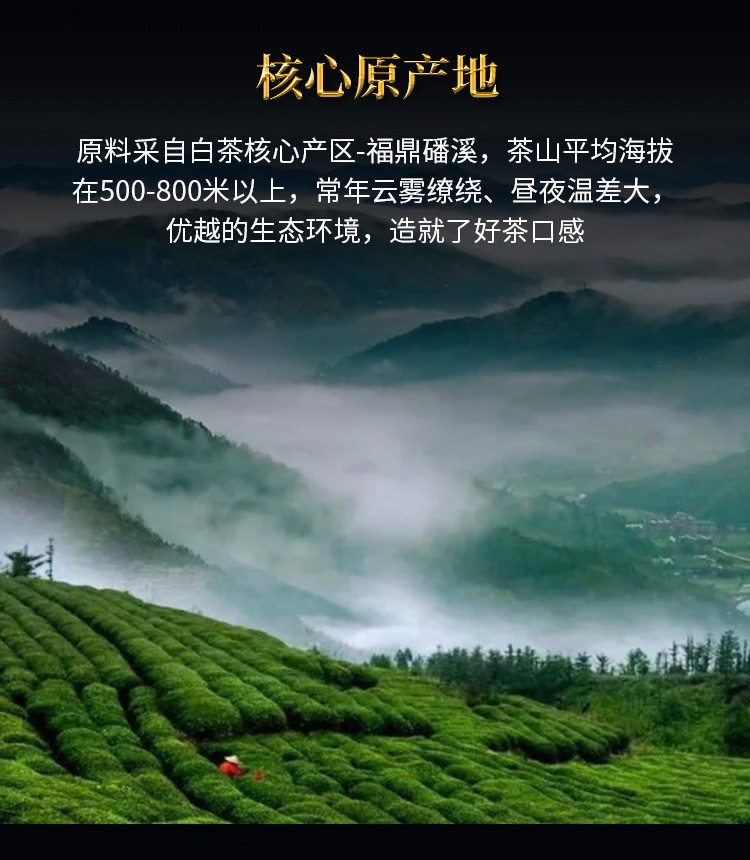 芬吉茶叶福建福鼎白牡丹茶2005年陈老白茶木箱装2005年白牡丹茶800g