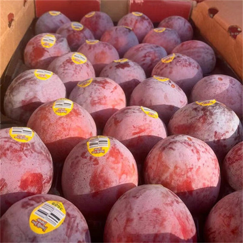 美国恐龙蛋水果新鲜黄肉李子黑布林黑金刚夜玫瑰情人李2斤