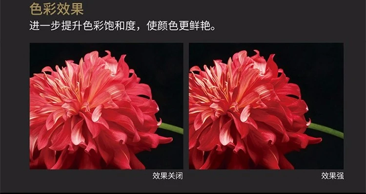Fuji FUJIFILM GFX 50R mirrorless medium format camera mirrorless camera 51.4 million pixels touch and foldable screen single body without lens official standard configuration Fuji FUJIFILM GFX 50R mirrorless medium format camera mirrorless camera 51.4 million pixels touch and foldable screen single body without lens official standard configuration