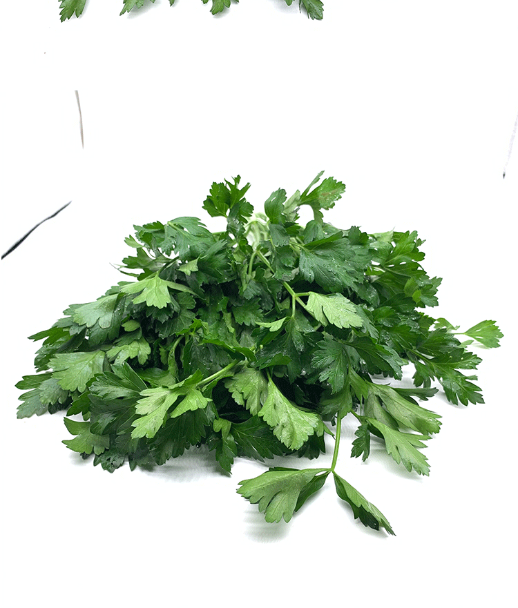 顺丰新鲜意大利芹欧芹巴西里香芹摆盘装饰500g