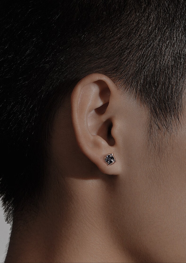 耳钉男士潮流个性款小众银饰宝石夏季嘻哈痞帅耳钉【图片 价格 品牌