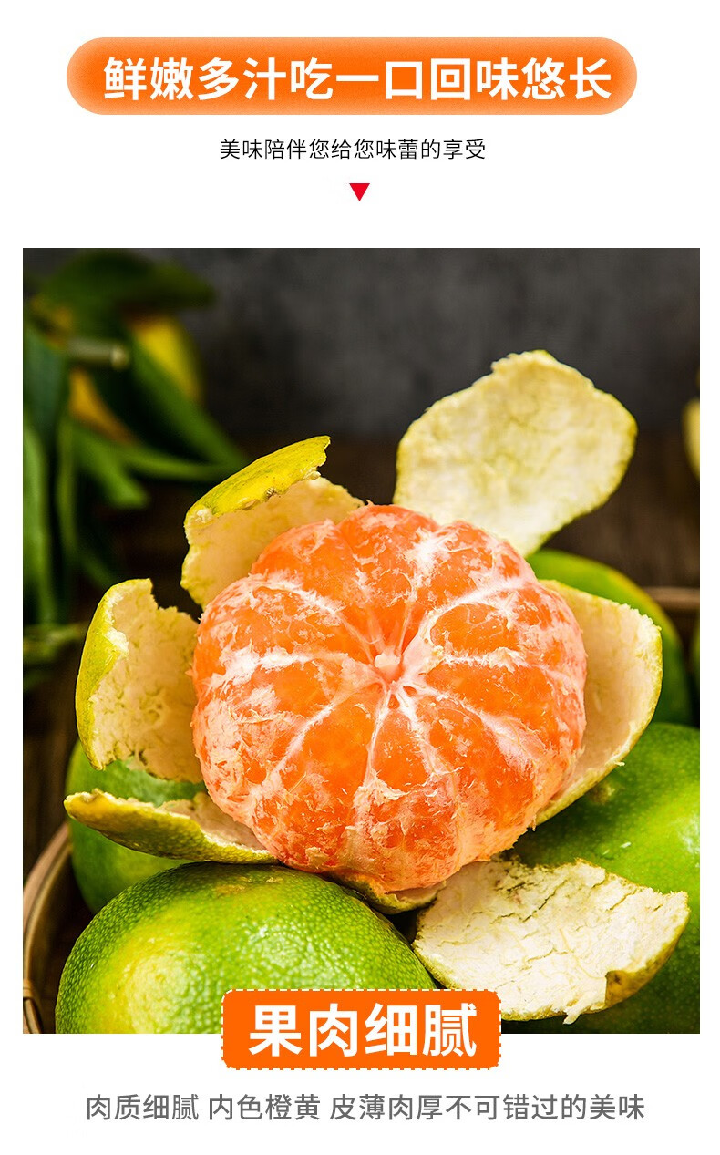 青皮蜜橘现摘橘子整箱新鲜青皮孕妇水果当季柑橘青绿皮桔子 5斤装