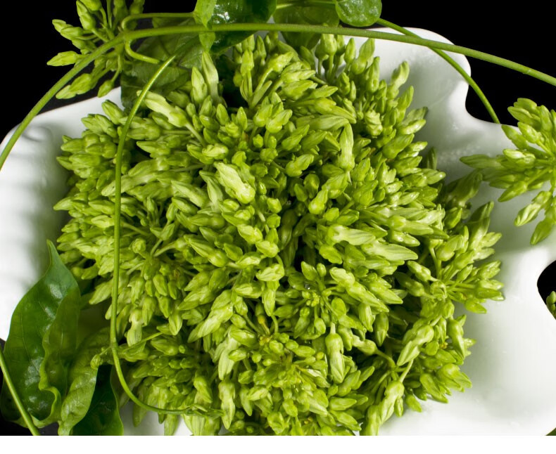 夜来香食用新鲜 夜香花 月见草煲汤煎饼西餐装饰食材 顺丰 2斤【图片