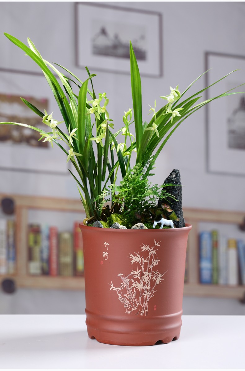 芊堂苑紫砂兰花盆大口径陶瓷家用室内高端蝴蝶兰吊兰文竹多肉透气盆栽