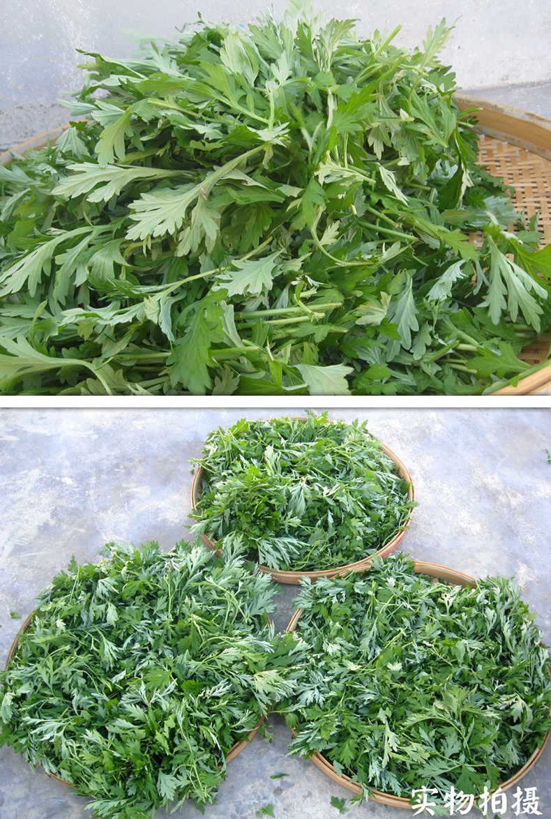 媚调艾草 新鲜艾草叶嫩艾叶 食用艾蒿蒿子青草团子食材 500g【图片