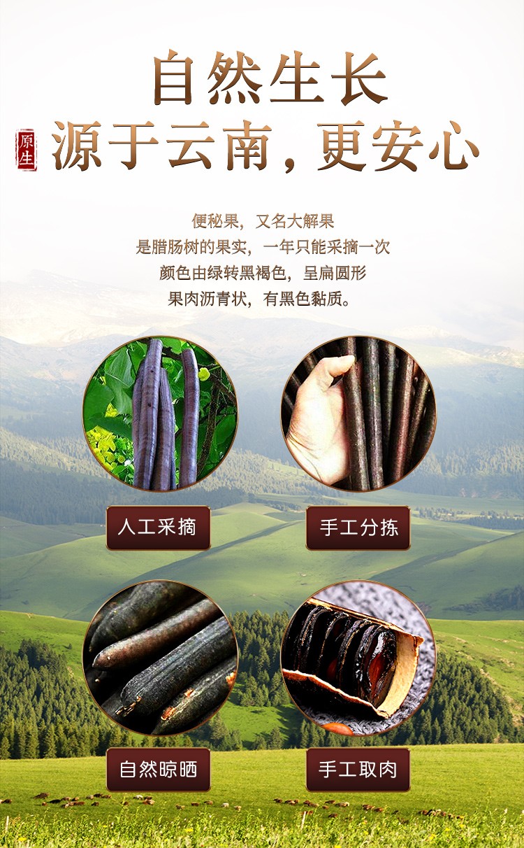 福东海便秘果肉250克袋大解果植腊物肠果畅通果剥壳果肉养生茶便秘果