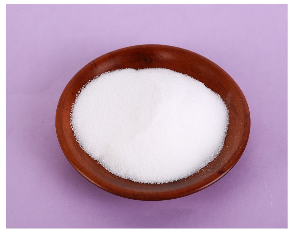 烁鑫 硼酸 医用硼酸粉袋装500g硼酸 消毒驱蟑螂治猫狗耳螨500克 1