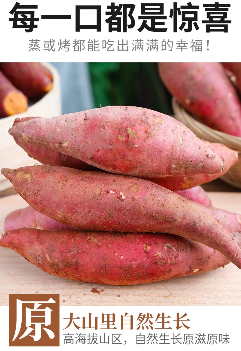 媚调新鲜红薯西瓜红糖心沙地蜜薯农家烤地瓜现挖番薯 5斤实惠装【图片