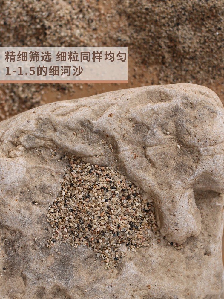 天然河沙粗砂多肉铺面配土粗沙子颗粒种植河砂水族鱼缸底砂715毫米粗