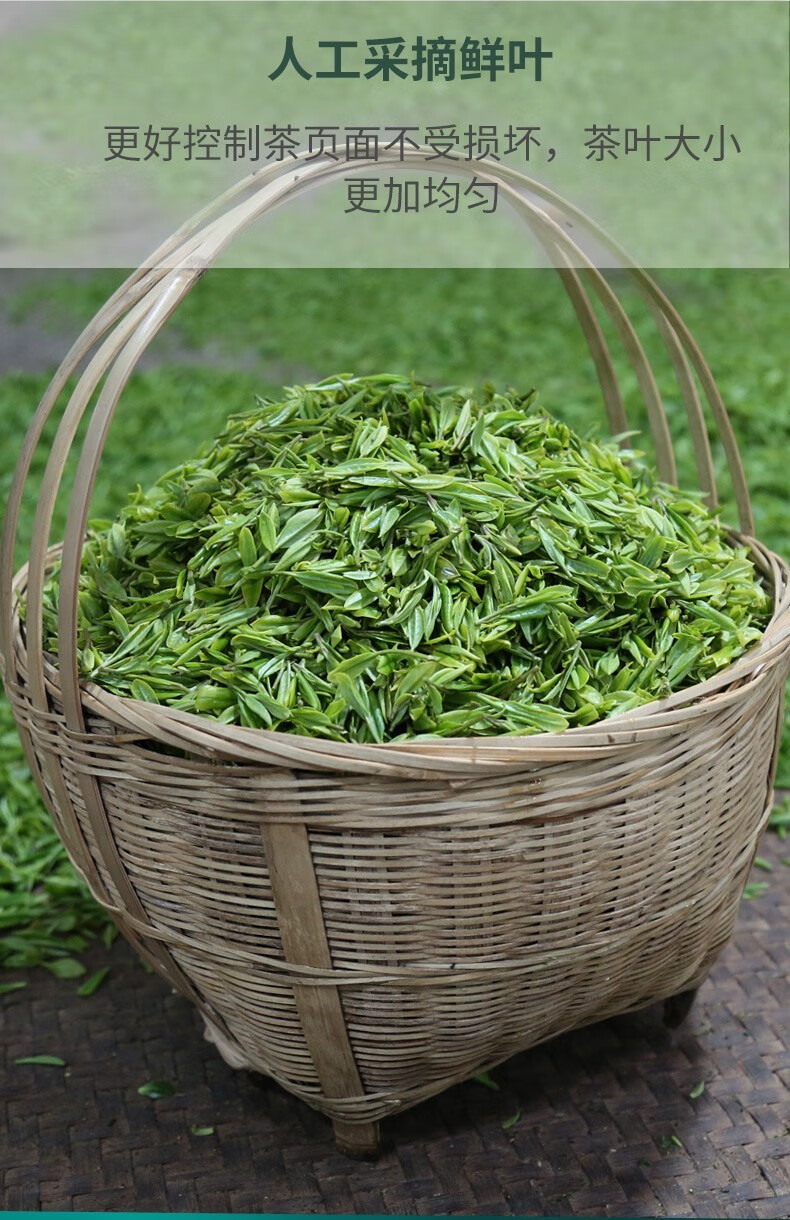 恩施玉露富含硒绿茶春茶2021新茶湖北特产明前特级嫩芽毛尖茶叶高山