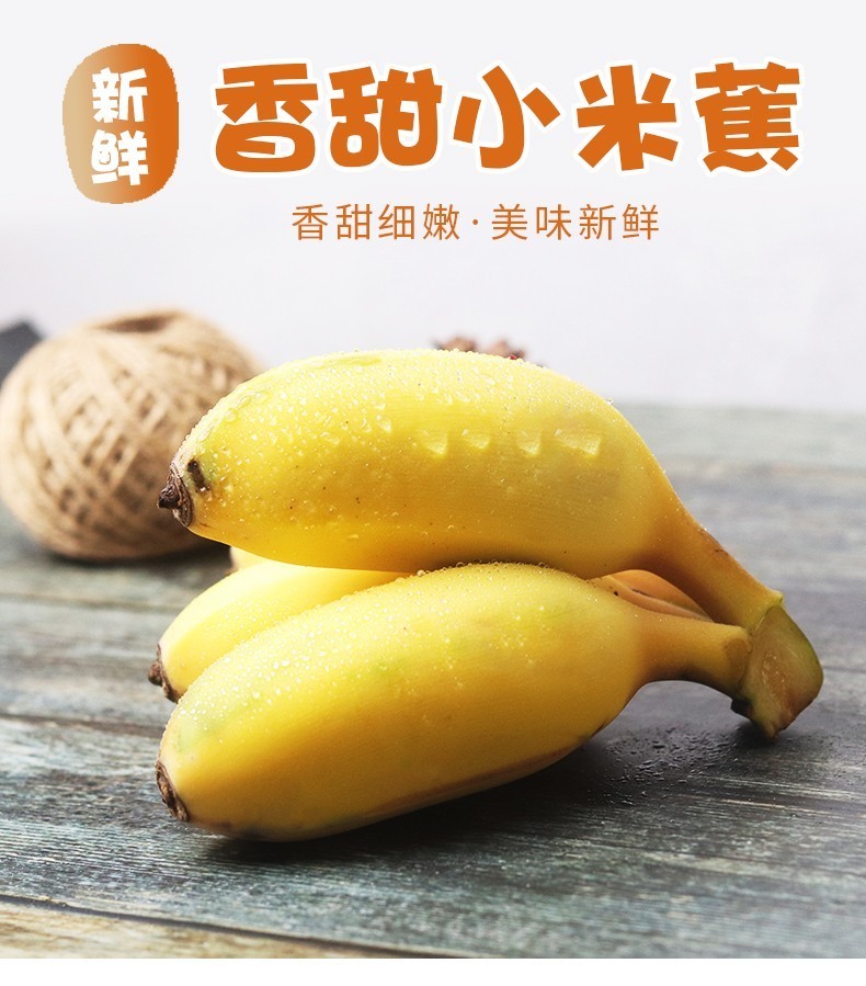 广西小米蕉芭蕉新鲜水果小芭蕉现摘现发25kg装