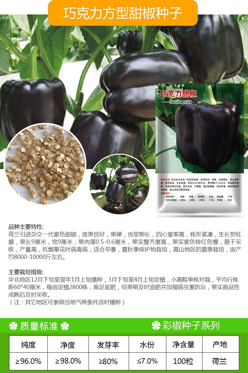 凤鸣雅世 彩椒种子甜椒菜椒青椒辣椒种籽方形灯笼椒四季阳台盆栽籽种