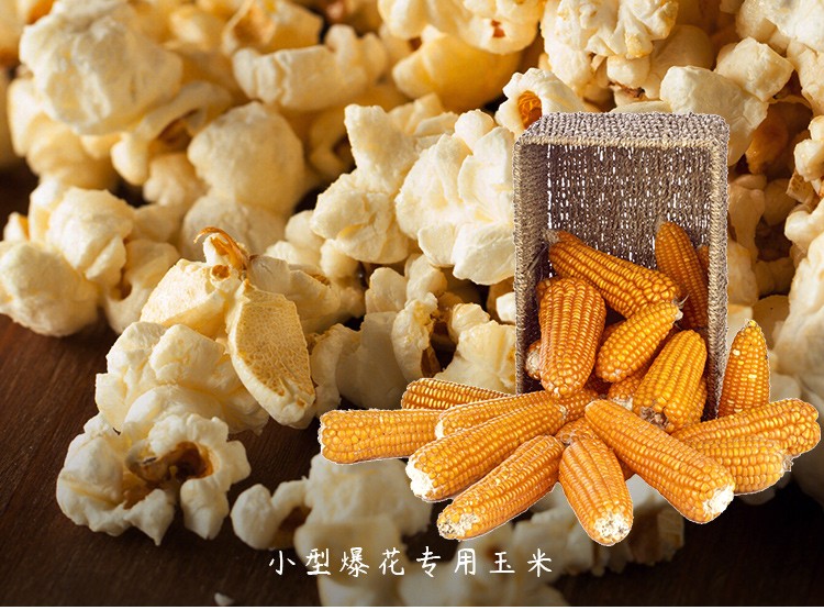 寿禾爆米花玉米种子小玉米杂交菠萝草莓奶油蔬菜菜籽家庭种植斯达爆2