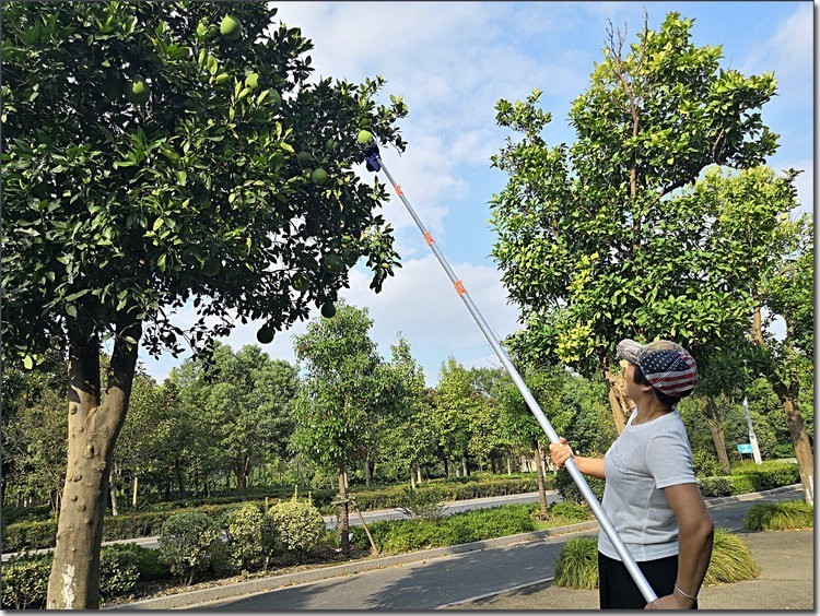 铝合金摘果器高空水果采摘非神器柿子折叠多功能采果工具经典62米高端