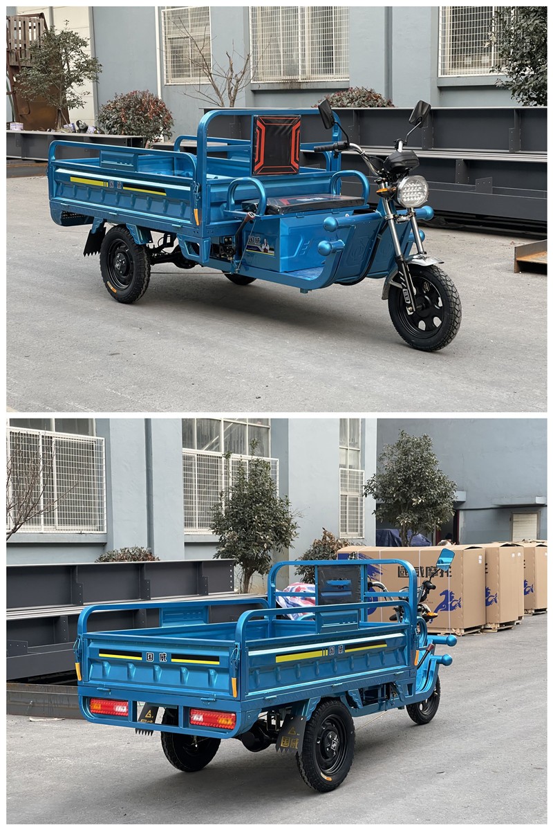 三轮车拉货家用货运农用载货快递车成人电瓶车摆摊1850h1200w电机60v