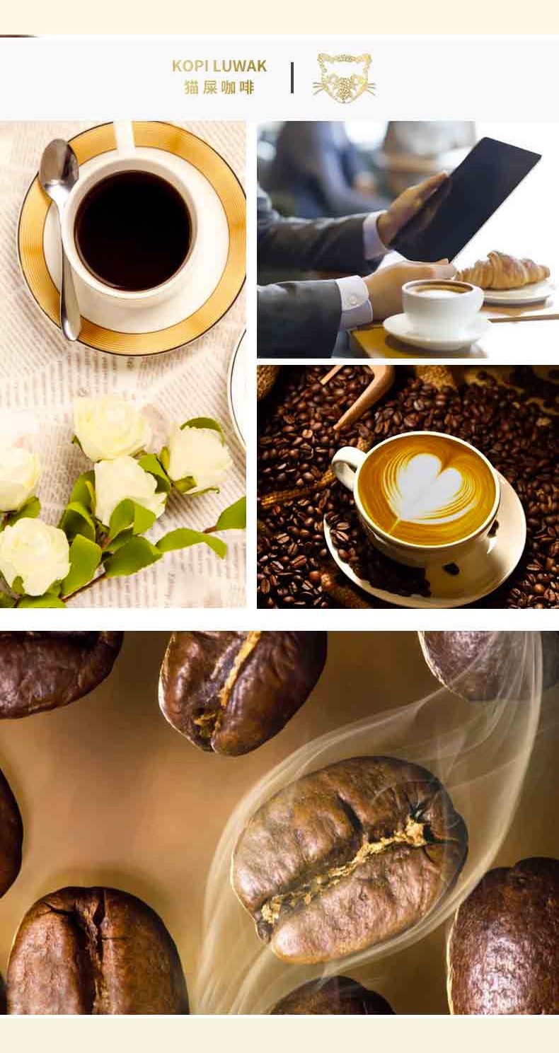 印尼原装进口kopiluwak猫屎咖啡麝香猫即饮猫屎咖啡液600ml